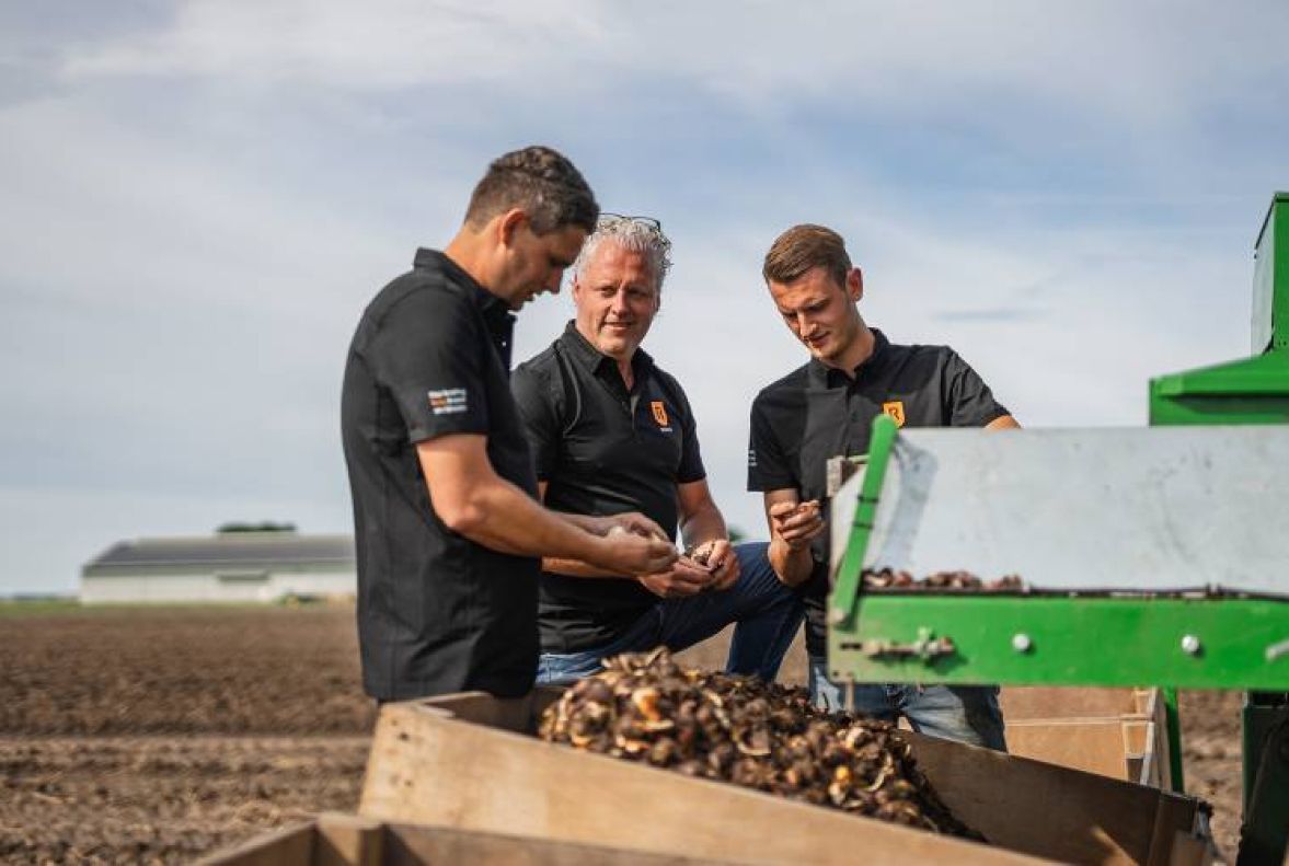 Productie - undefined